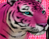 pink tiger pet