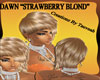 Dawn "Strawberry Blond"