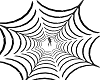 (SW)Black Spider Web