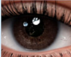 Brown Eri* eyes