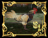 *Animated Rooster