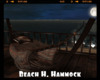 *Beach H. Hammock