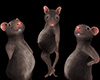 rat costume