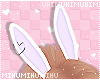 🐾 Bunny Ears Lilac