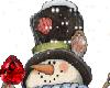 RB Snowman Animated Snow