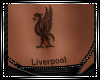 Liverpool Belly Tat