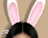 Bunny PJ 🐇 Ears
