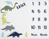 Dinosaur Monthly blanket