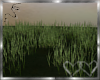 Animated Grass