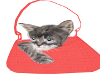 Tabithia Kitty/Purse