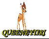 *QN* Bambi 
