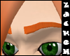 Rusty Red Eyebrows