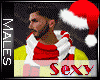 CHRISTMAS SEXY