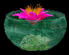 Pink Lotus in Glass Vase