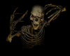 Skeleton4