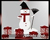 Snowman Presents Poses