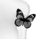 JC BUTTERFLY