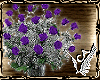 A Bouquet Of Purple Rose