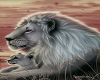 Lion Den