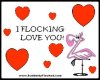 I Flocking Love You!