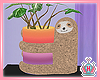 Colorful Sloth Plant