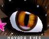 [V4NY] Nayara Eyes