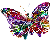 Rainbow Butterfly