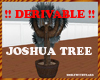 joshua tree in barrel