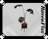 Valentine Floor Plant V4