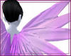 Lilac Cherub Wings