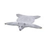 Bear Rug white