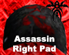Assassin - RP
