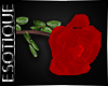 |E! A Rose for Valentine