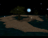 island in the moonlight