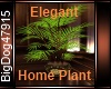 [BD] Elegant Home Plant