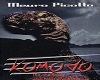 komodo mauro picotto