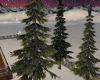 E* Snowy Trees