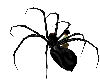 [SaT]Spider furniture