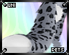 [pets] Bini | tail v2