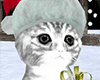 Xmas Snow Kitty