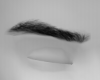 Test Eyebrow M