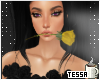 TT: Yellow Rose