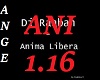 DJ  raban anima 