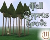 Cyprus Grove - Tall