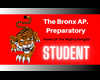 (BP) M.Student Badge
