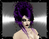 purple cassidy hairs