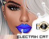 ! EC Electrik Blue Gloss