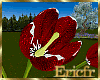 [Efr] Tulips Red v2b