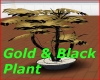 Gold & Black Plant