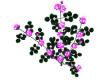 Pink Glow Rose Bush2